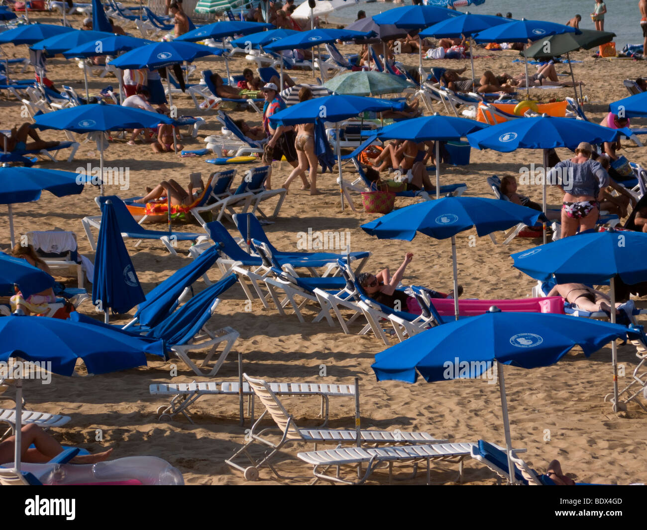 Touristen mit Sonnenliegen und Sonnenschirme am Strand von Fig Tree Bay, im Dorf von Protaras, Zypern. Stockfoto