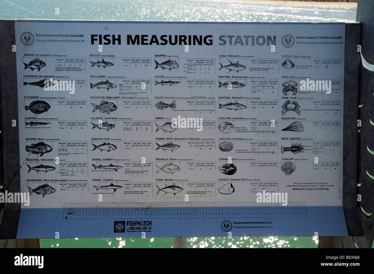Ein Fischschild für Angler, die im südlichen Ozean am Brighton Beach Resort, Adelaide, Südaustralien, Fische fangen Stockfoto