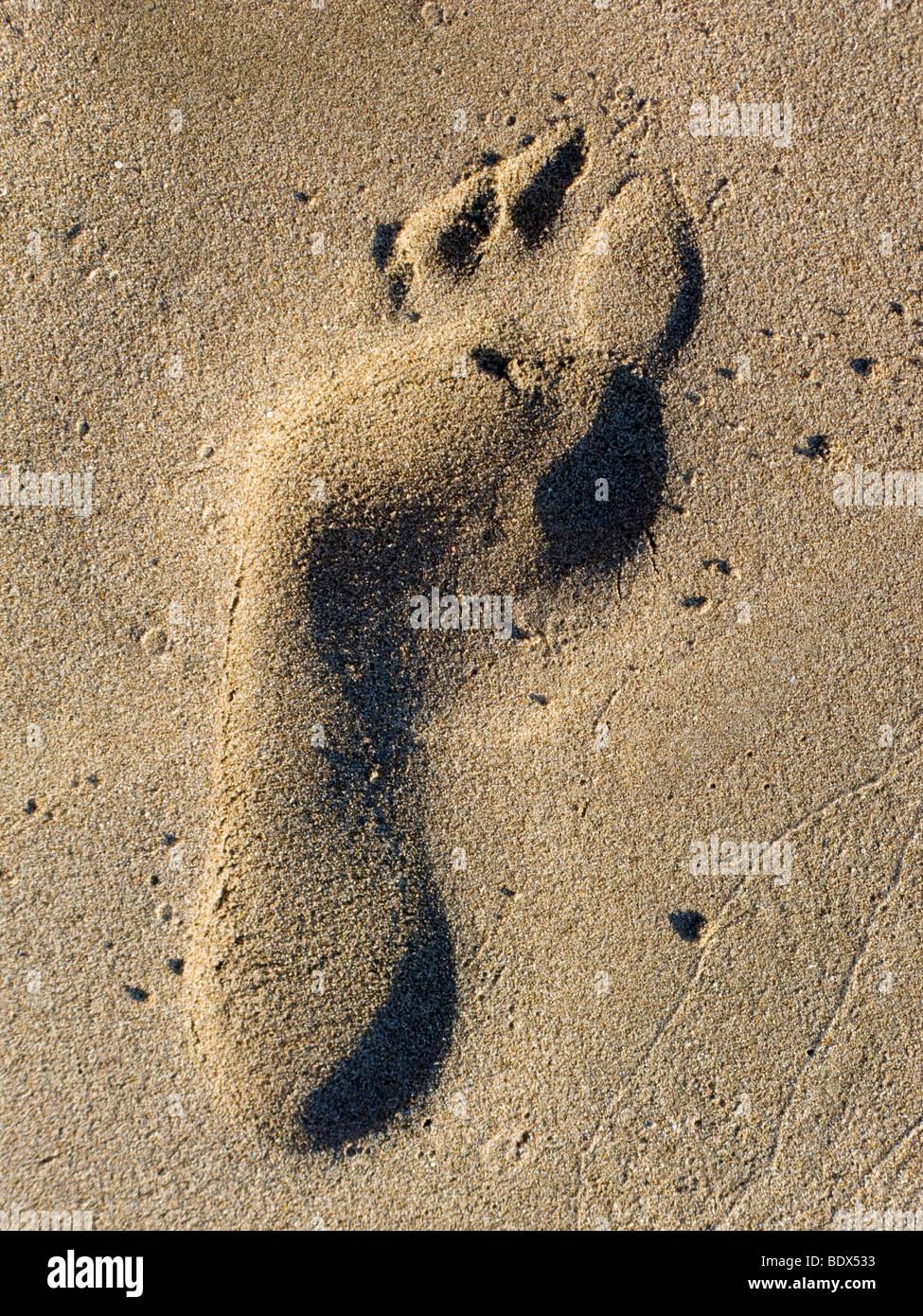 Fußabdruck im Sand im Fig Tree Bay, Protaras, Zypern. Stockfoto