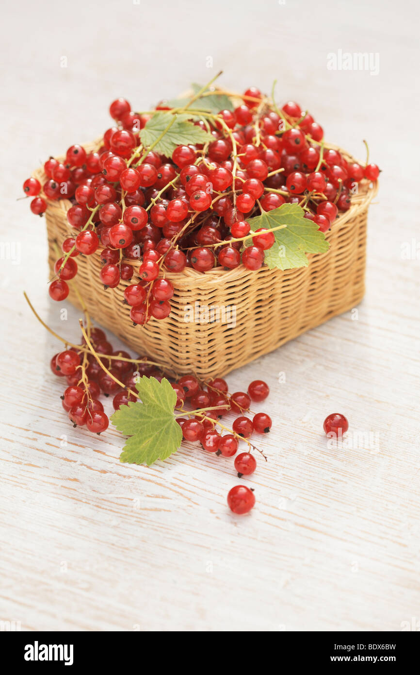 Rote Johannisbeeren in einen kleinen Korb Stockfoto