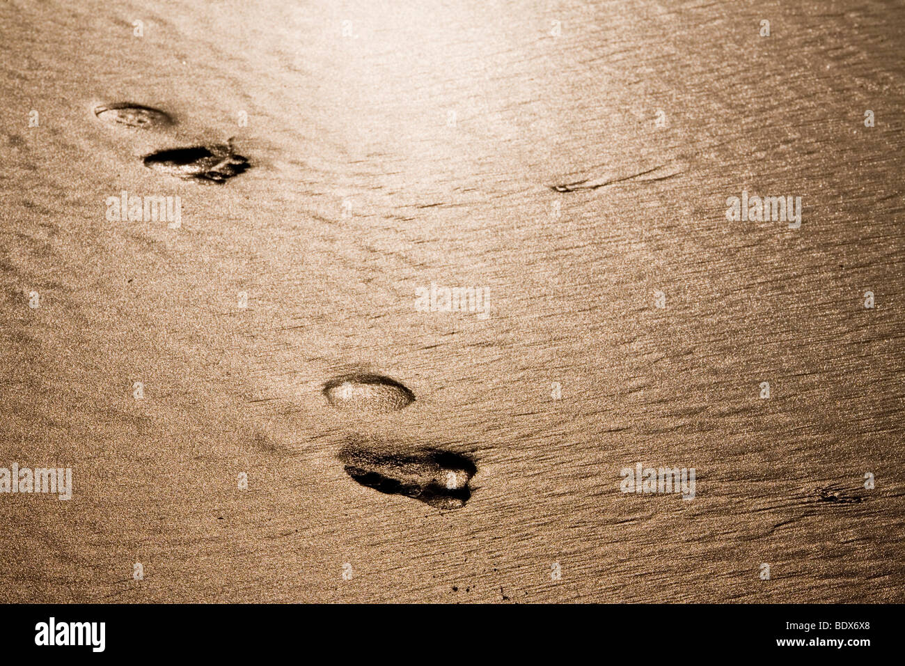 Fußabdrücke an einem goldenen Strand Stockfoto