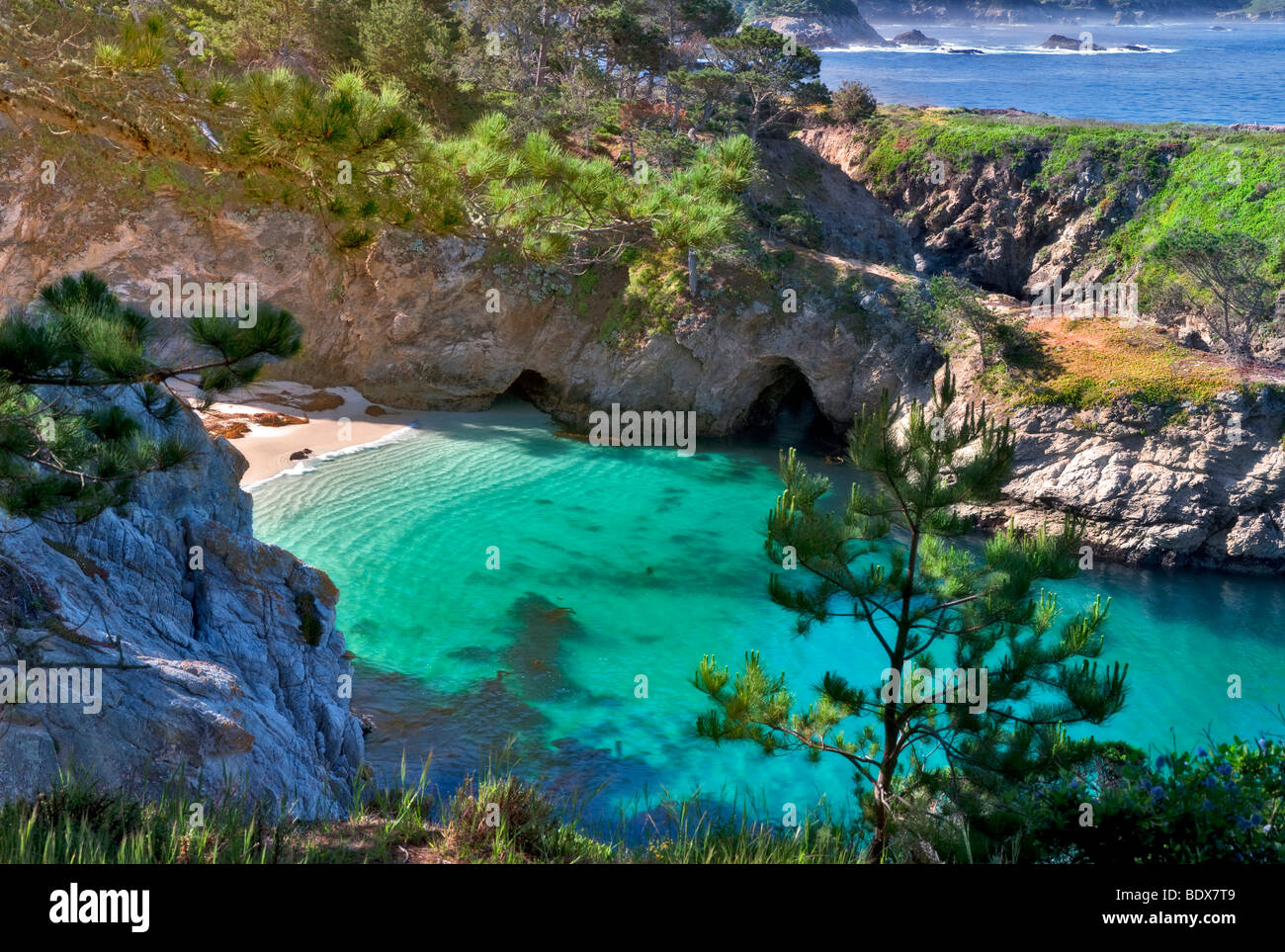 China Strand mit Kalifornien Seehunde am Strand. Point Lobos State Reserve, Kalifornien Stockfoto