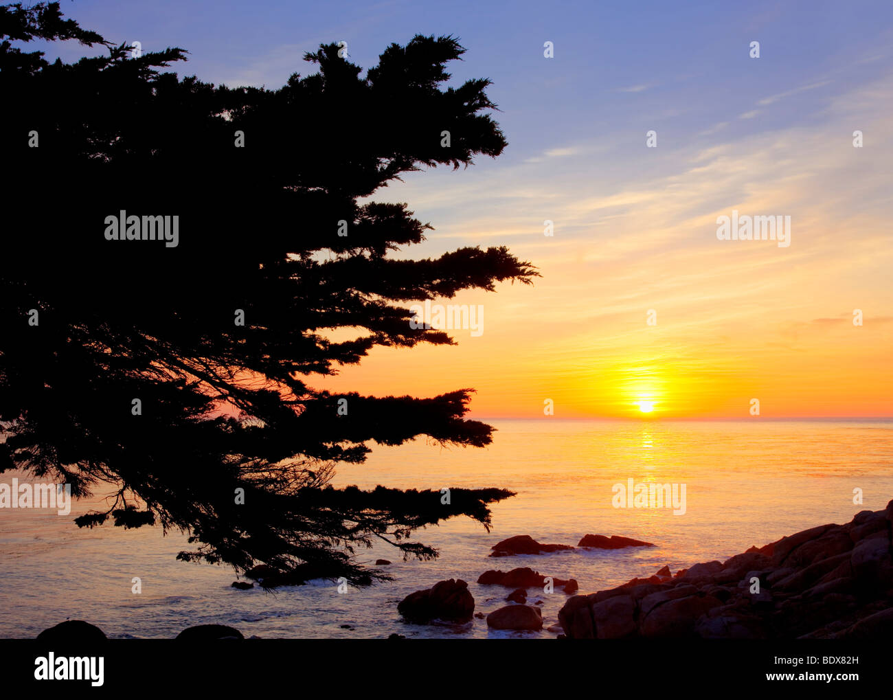 Sonnenuntergang und Monterey-Zypresse Baum. 17 Mile Drive. Pebble Beach, Kalifornien Stockfoto