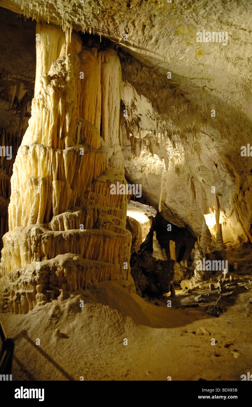 Stalaktiten und Stalagmiten haben eine Säule im Inneren des Karst-Höhle, Postojna, Slowenien, Europa zusammengeführt. Stockfoto