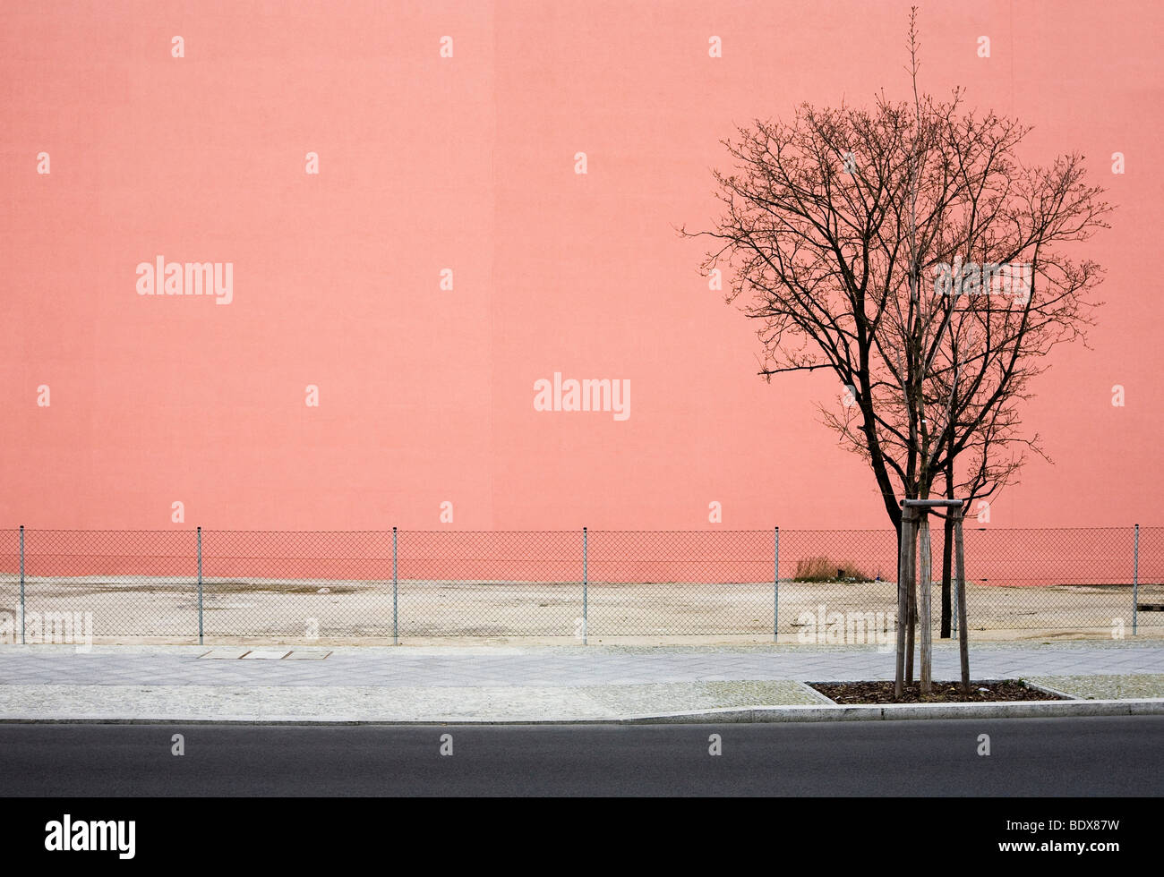 Leere Straße, toter Baum vor eine große einfarbige Wand, Alexa Shopping Center, Berlin, Deutschland, Europa Stockfoto
