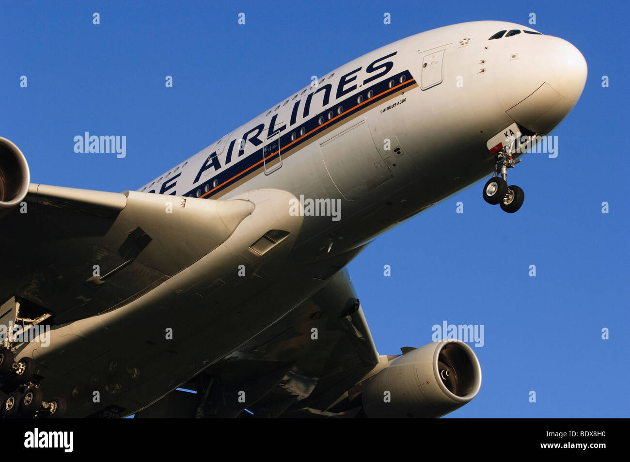 Airbus A380 von Singapore Airlines im Landeanflug auf London Heathrow Airport, Großbritannien betrieben. Stockfoto