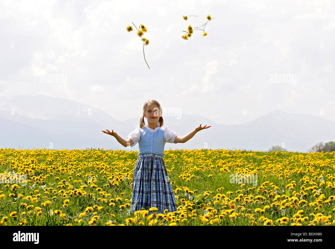 Kind werfen Löwenzahn Blumen in der Luft, Eurasburg, Upper Bavaria, Bayern, Deutschland, Europa Stockfoto