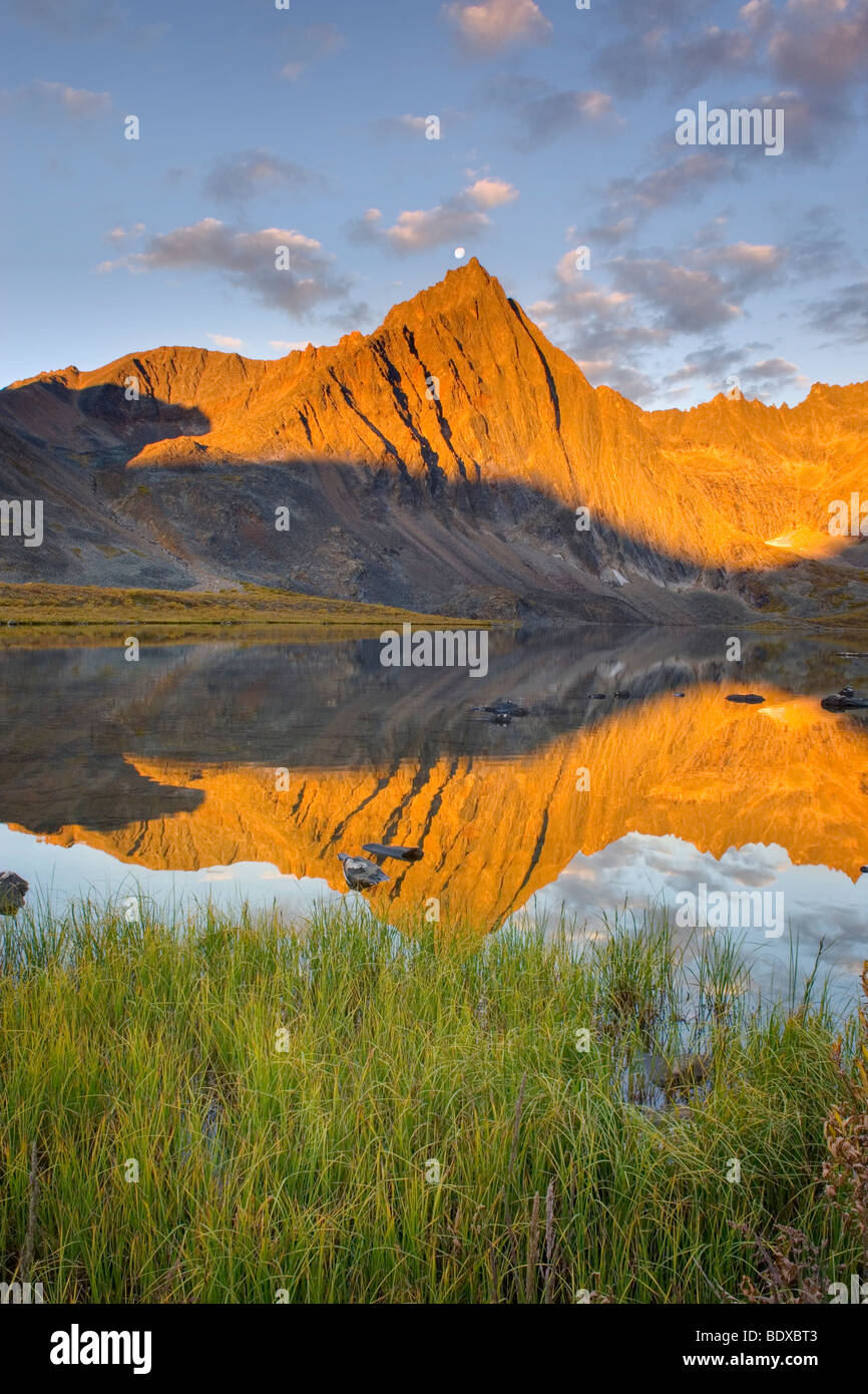 Gipfel der Grabstein spiegelt sich in Grizzly Lake, Tombstone territorial Park Yukon Kanada Stockfoto