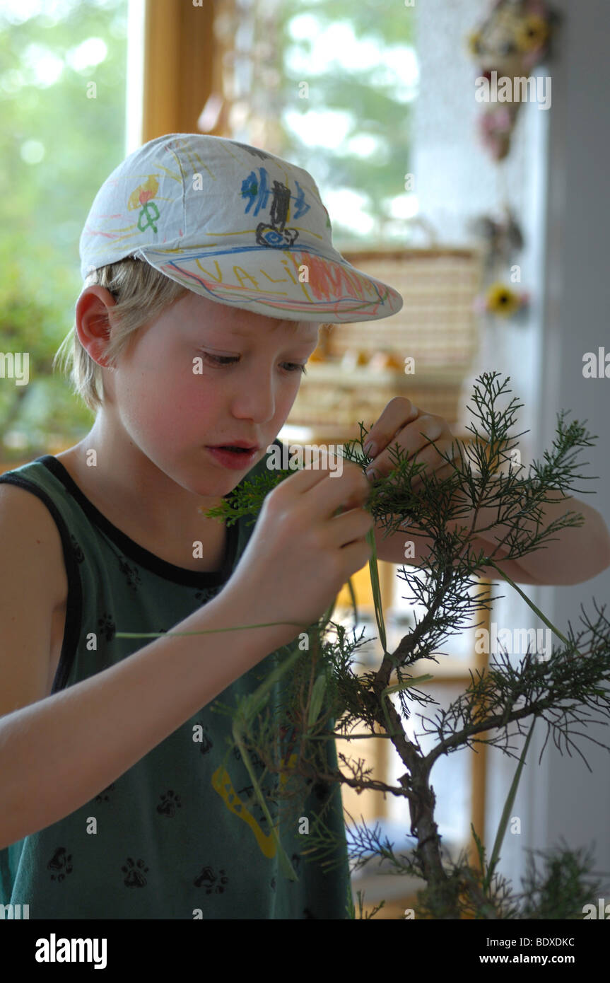 12-Year-Old Boy einen Bonsai-Baum schneiden Stockfoto