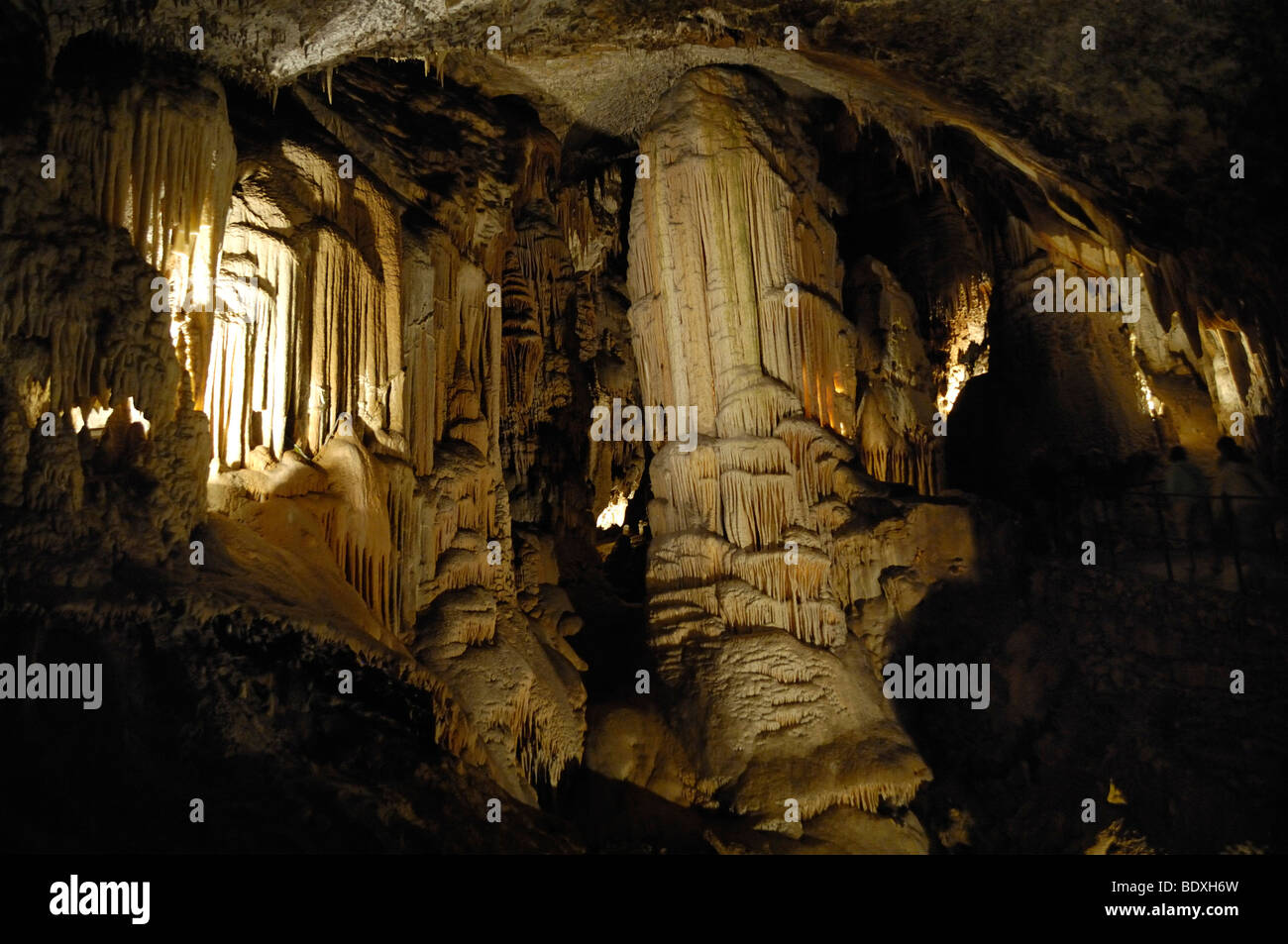 Stalaktiten und Stalagmiten haben einen Pfeiler, Karsthöhle Postojna, Slowenien, Europa zusammengeführt. Stockfoto