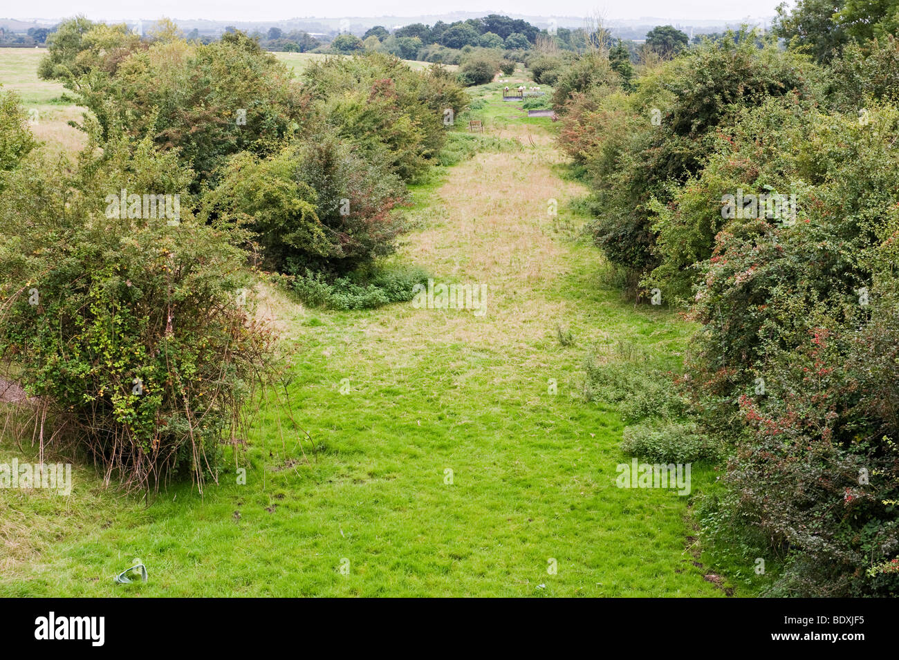 Die Strecke einer alten ländlichen Eisenbahnlinie wurde in den 1960er Jahren aufgrund des Beeching-Berichts geschlossen, in der Nähe von Quainton, Buckinghamshire, Großbritannien Stockfoto