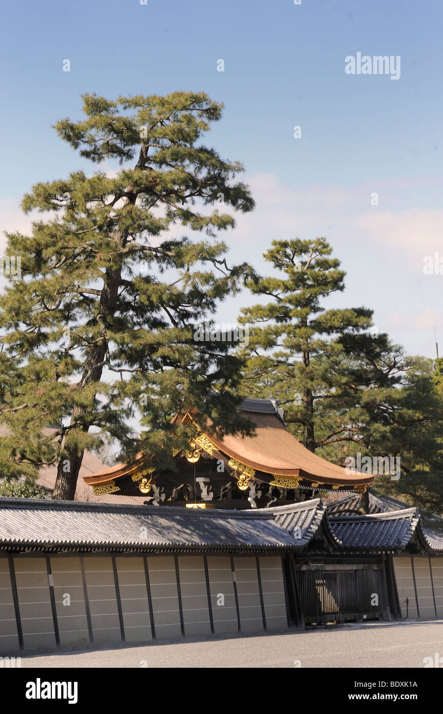 Nordtor des Imperial Palace mit schwarzen Pinien Gosho in Kyoto, Japan, Asien Stockfoto