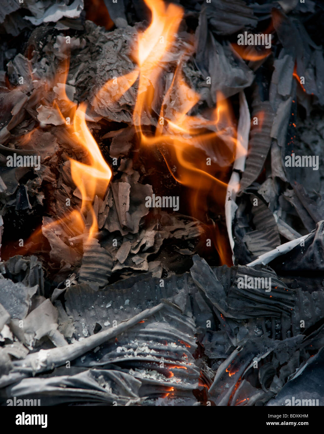 Flammen in graue Asche Stockfoto