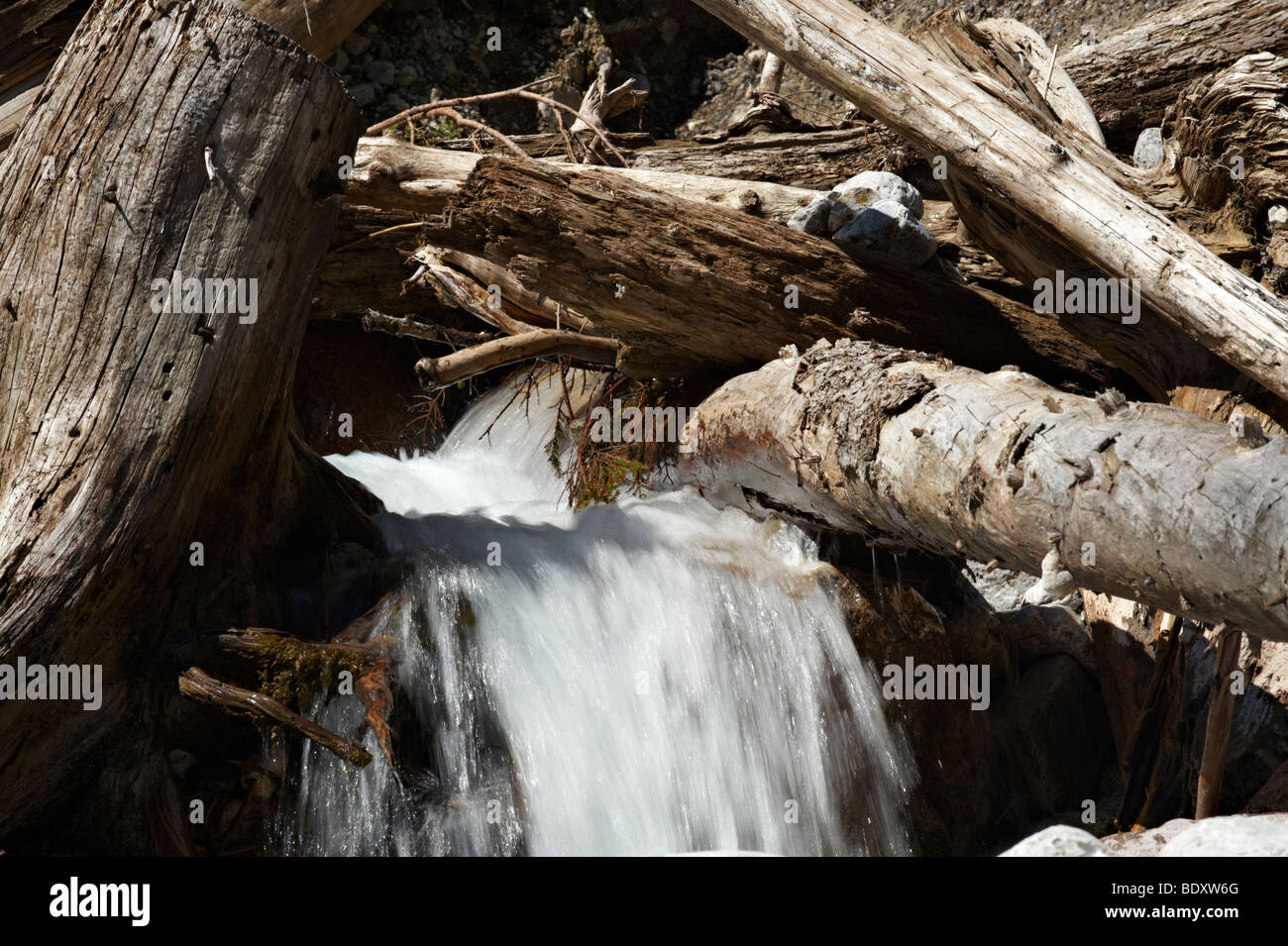Strömendes Wasser, Eng, Risstal, Österreich Stockfoto