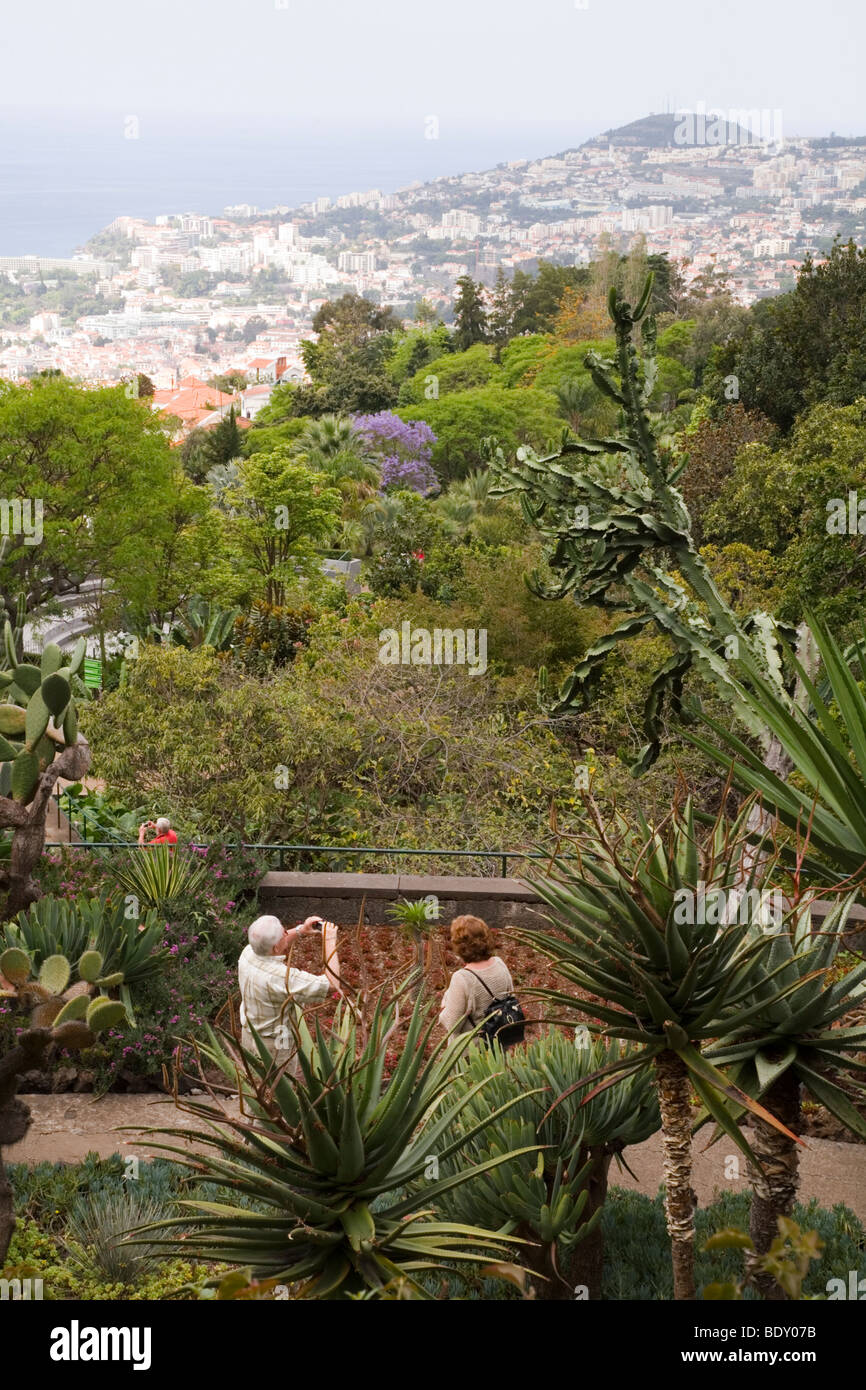 Zentrales funchal Fotos und Bildmaterial in hoher Auflösung Alamy