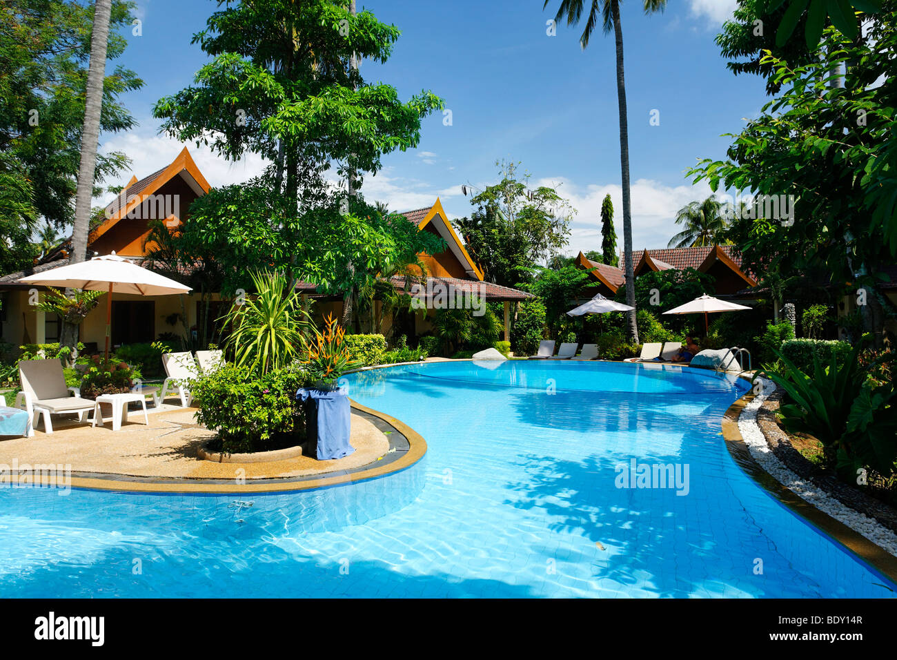 Bungalowanlage mit grüner Umgebung und Pool, Sonnenliegen, hohe Palmen, Palm Garden Resort, Phuket, Phuket City, Thailan Stockfoto
