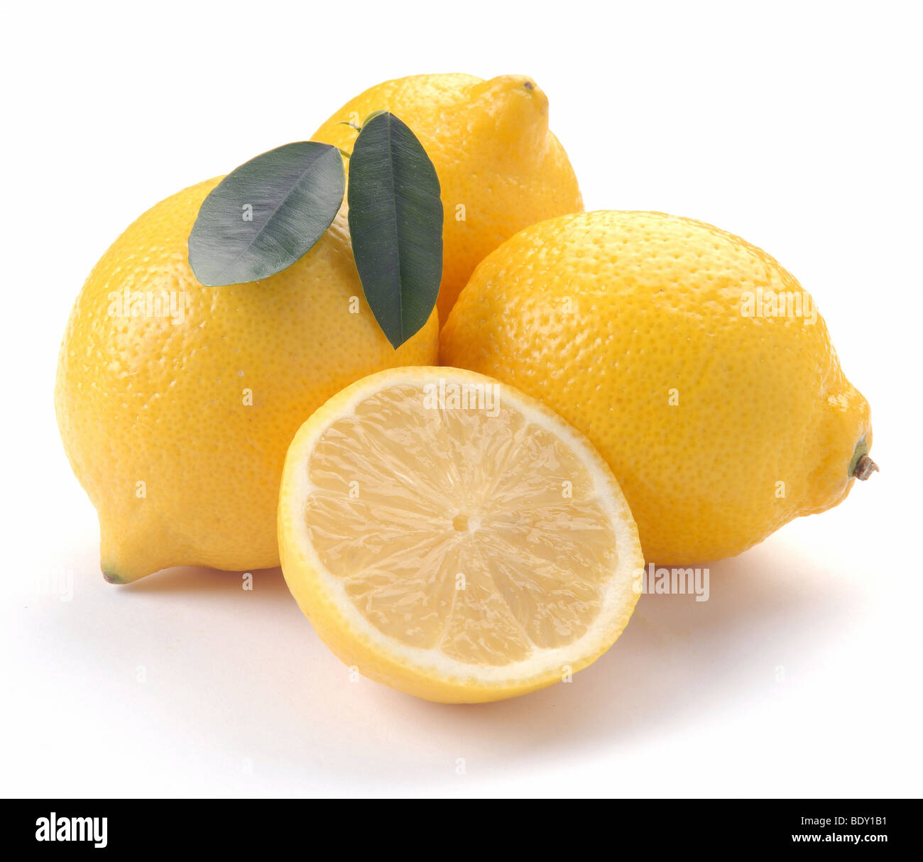 frische Zitronen auf weißem Hintergrund Stockfoto
