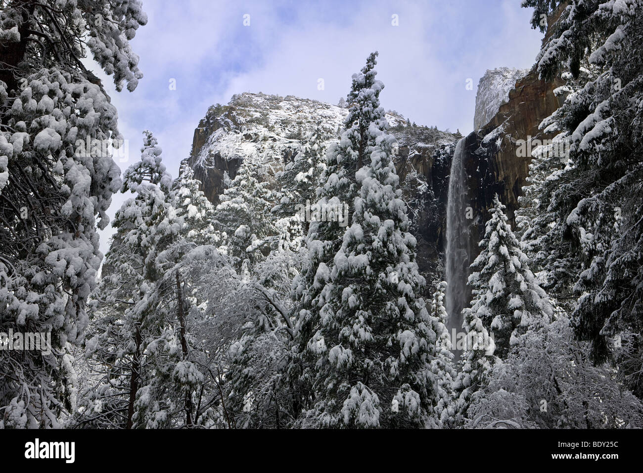 Bridalveil Falls Kaskaden durch verschneite Tannen wie Cathedral Rocks overhead im Yosemite-Nationalpark, Kalifornien, USA Webstuhl. Stockfoto