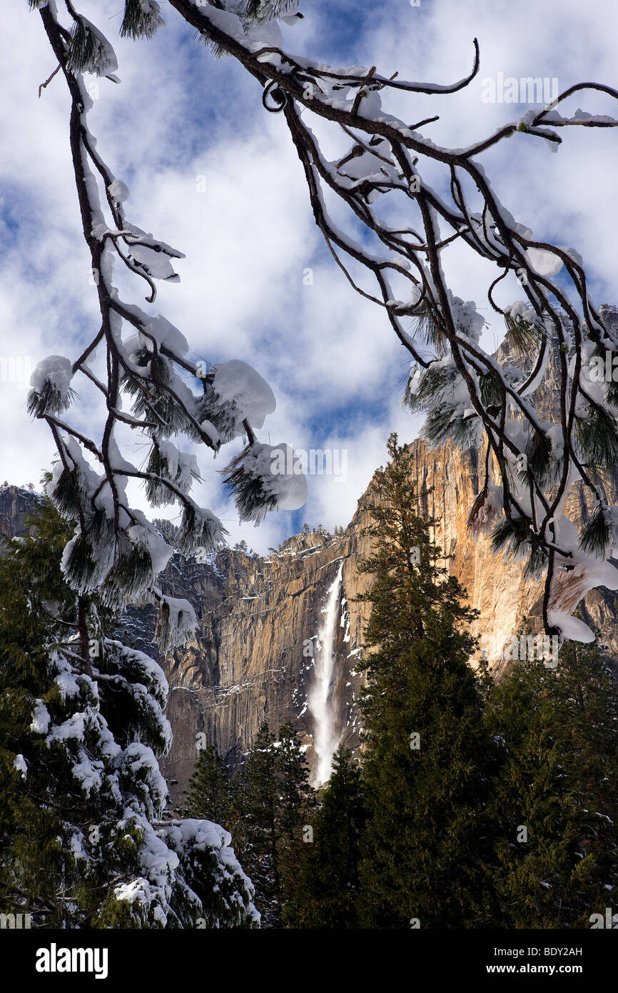 Upper Yosemite Falls umrahmt von schneebedeckten Kiefer Bögen, Yosemite-Nationalpark, Kalifornien, USA. Stockfoto