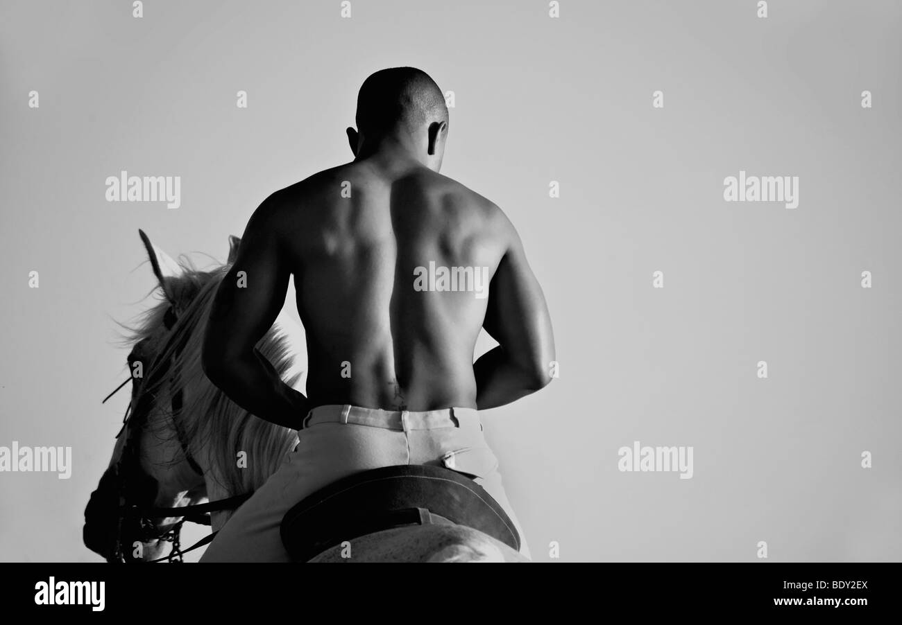 Schwarzen und weißen Pferd Stockfoto