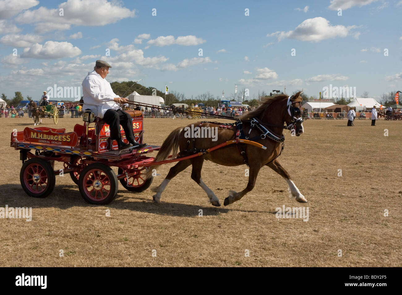 Ein Pferd zieht eine kleine eingerichtete Karre an ein Land zeigen, in Essex. Stockfoto