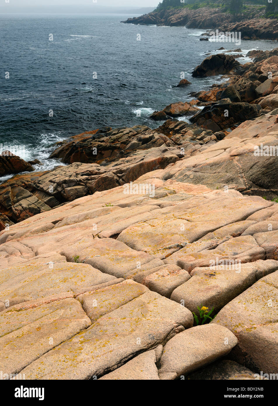 Glatte Felsen bei Lakies Head und breiten Bucht am Atlantik Küste in Cape Breton Highlands National Park Nova Scotia Stockfoto