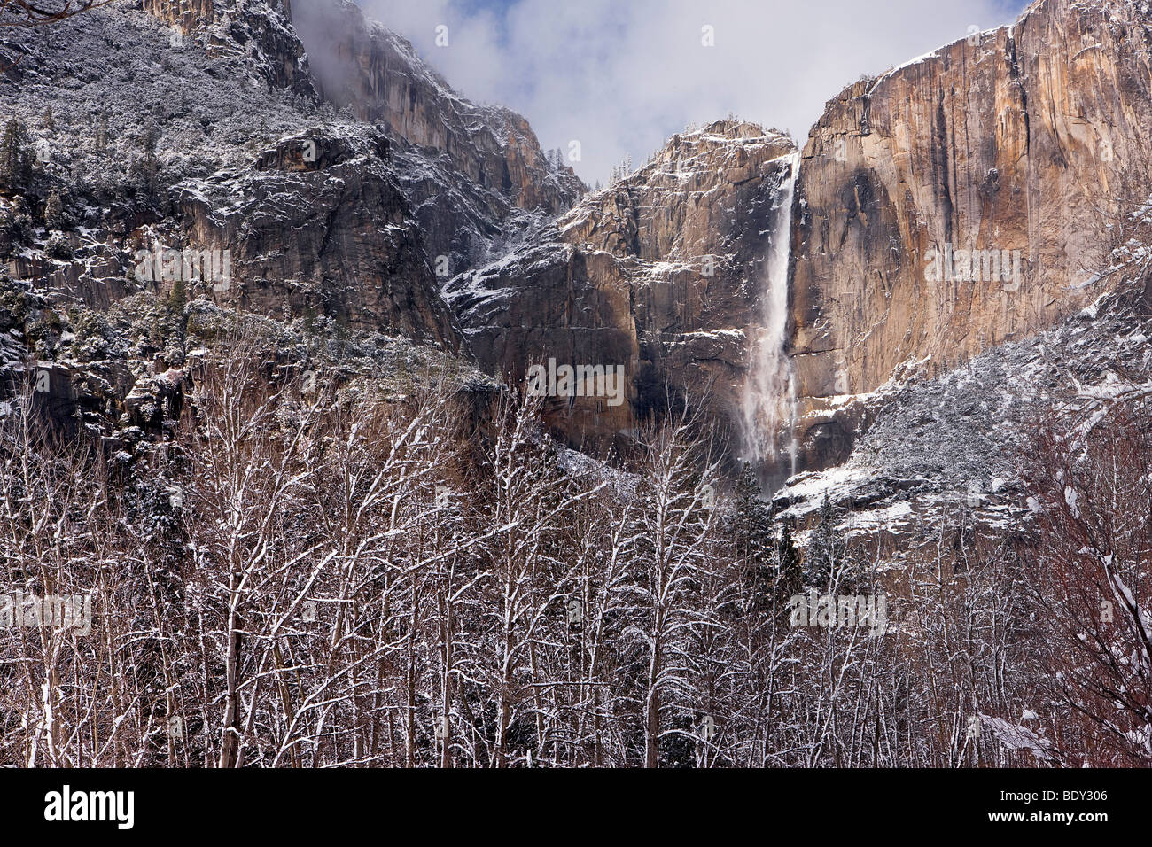 Upper Yosemite Falls umrahmt von Pappeln und clearing Wintersturm, Yosemite-Nationalpark, Kalifornien, USA. Stockfoto