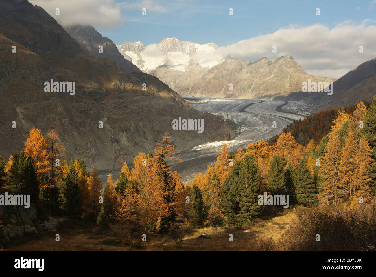 Aletschgletschers Gletscher im Herbst, Wallis, Schweiz, Europa Stockfoto