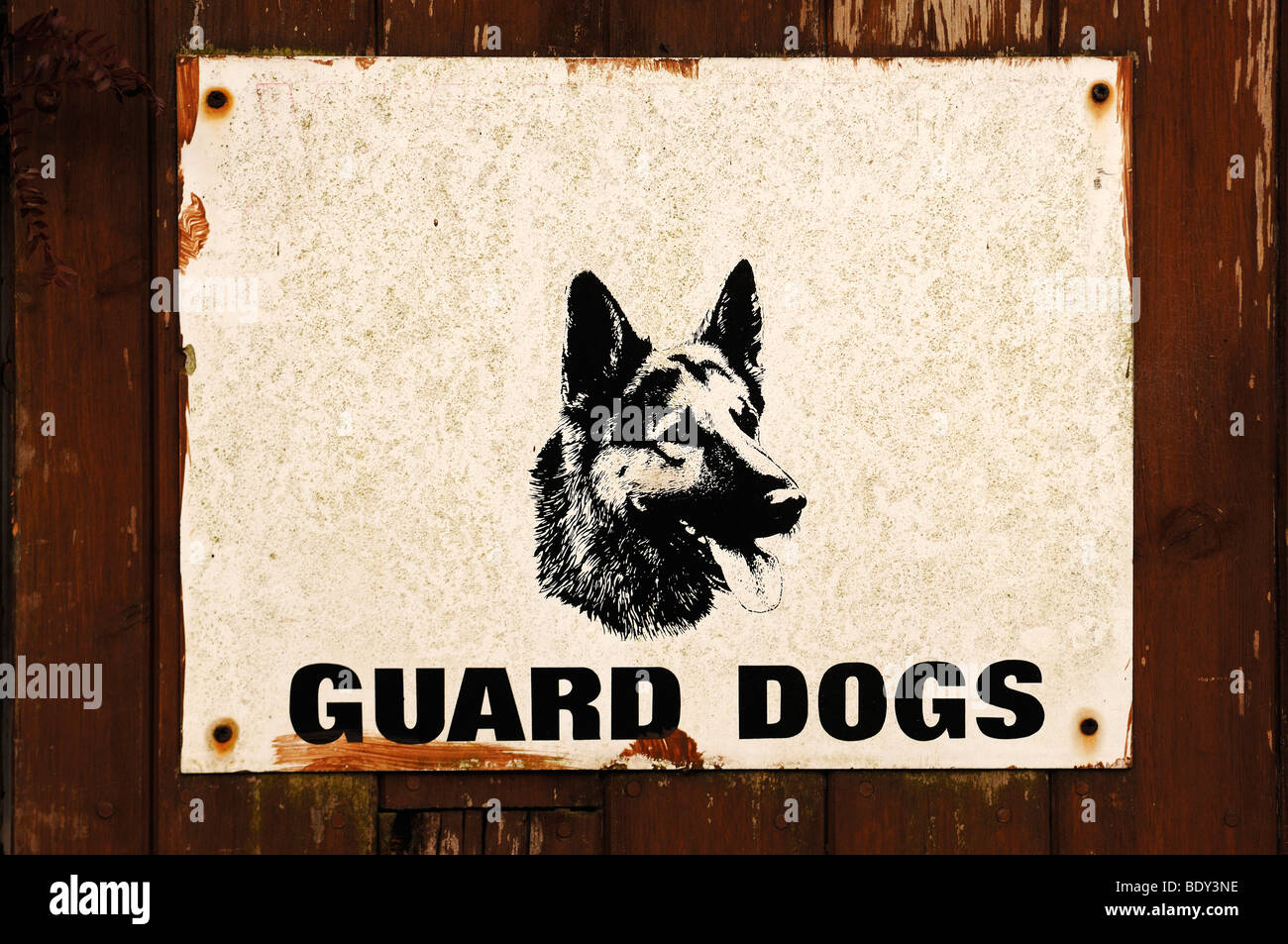 Wachhunde, Diensthunde, Warnzeichen auf ein Tor, England, UK, Europa Stockfoto