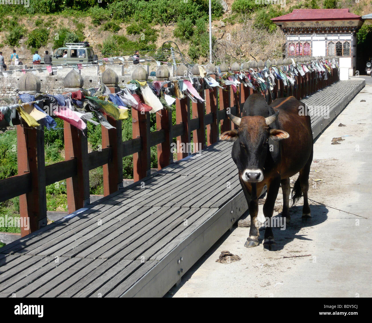 Brücke mit einer Kuh und Gebet Fahnen über den Fluss Puna Tsang, Wangdue Phodrang, Bhutan. Stockfoto