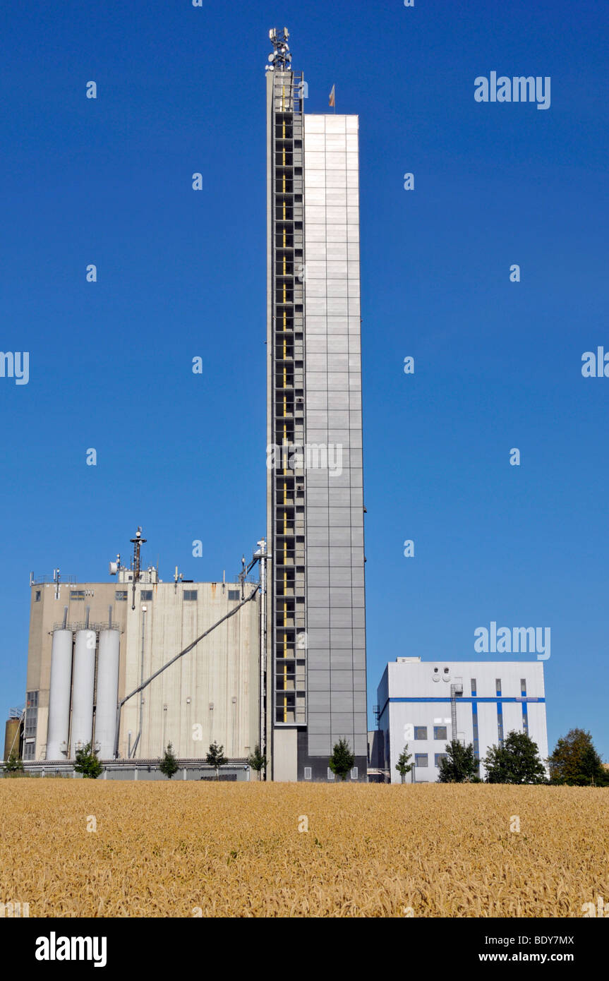 Schapfenmuehle Mühlenturm, dem höchsten Getreidesilo in der Welt, bedeckt mit einer Photovoltaik-Anlage, Jungingen, Ulm, Baden-Wuert Stockfoto