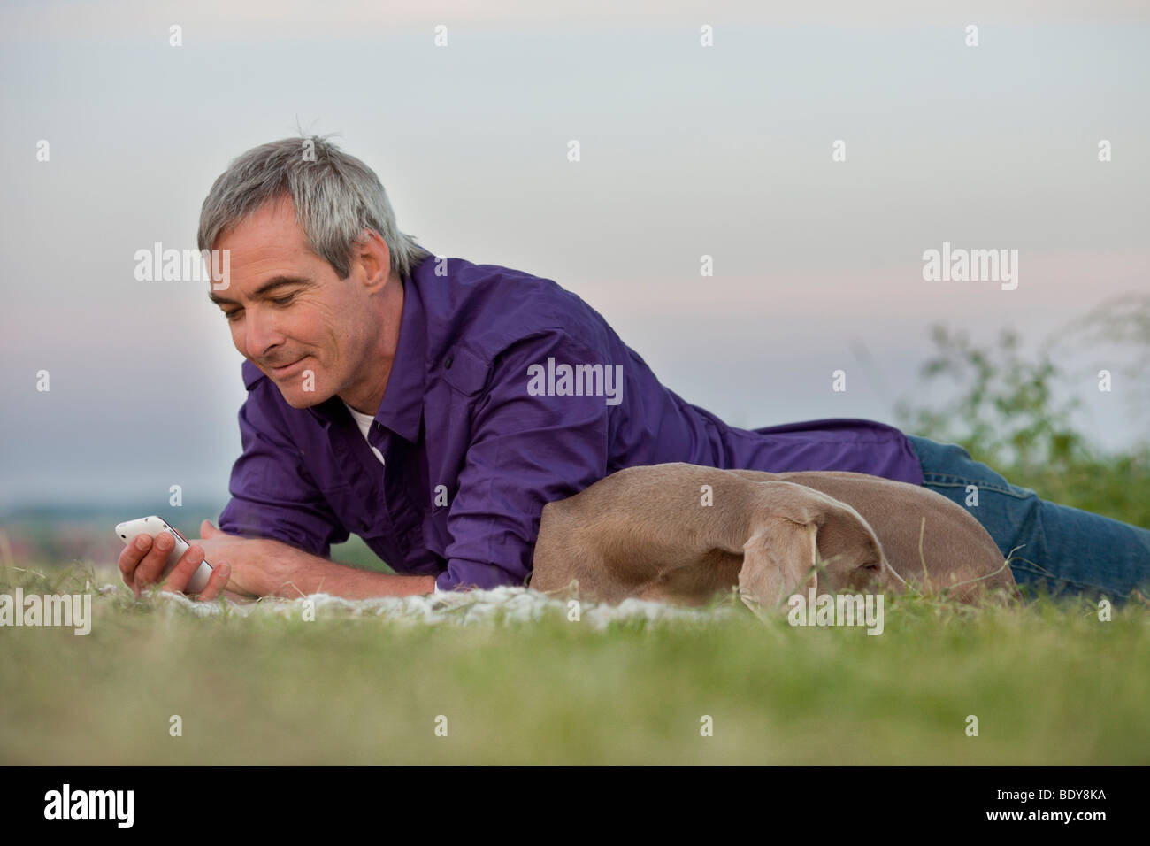 Mann mit Hund Check-Smartphone Stockfoto