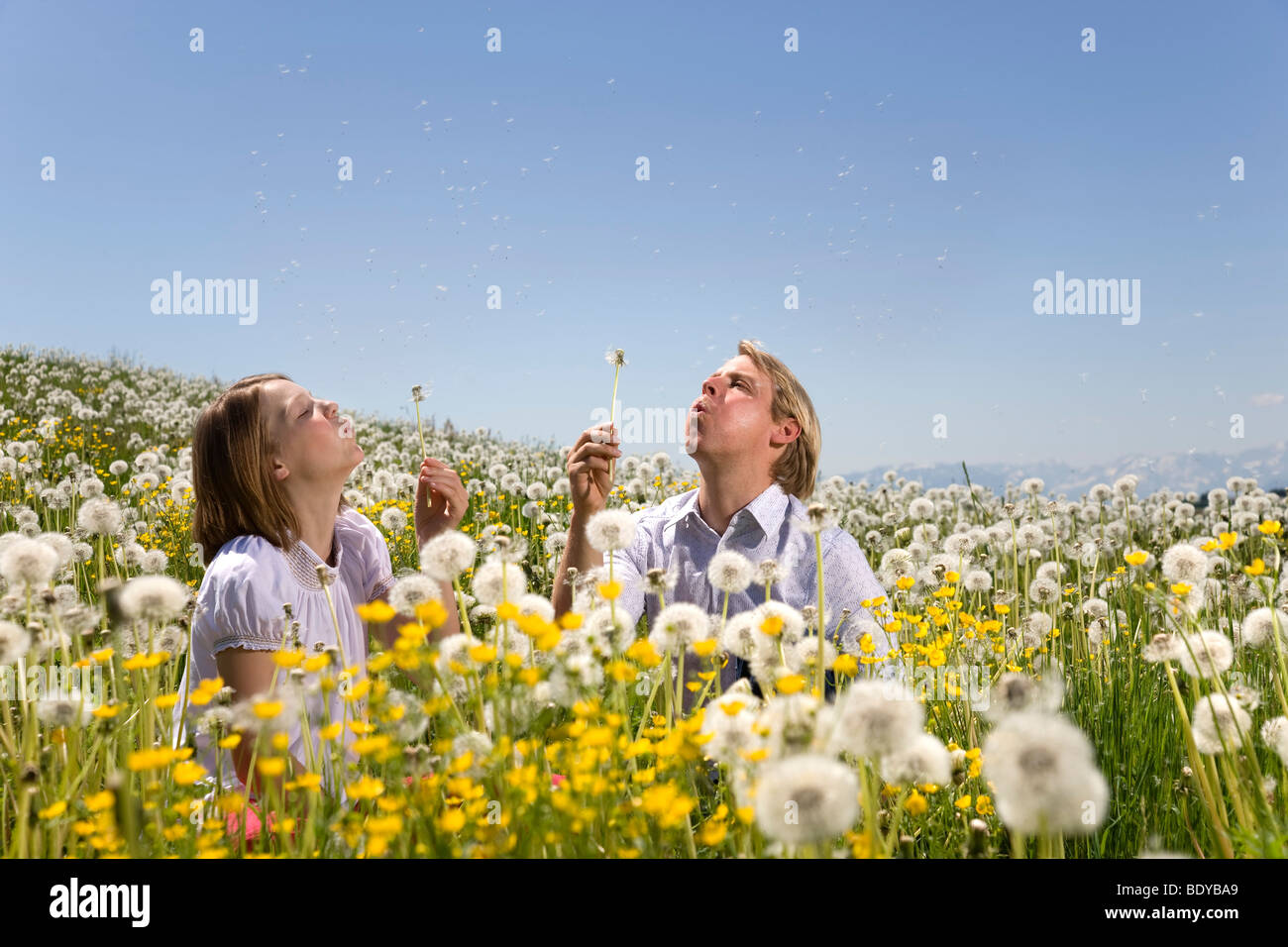 Vater, Mädchen in der Wiese weht Löwenzahn Stockfoto