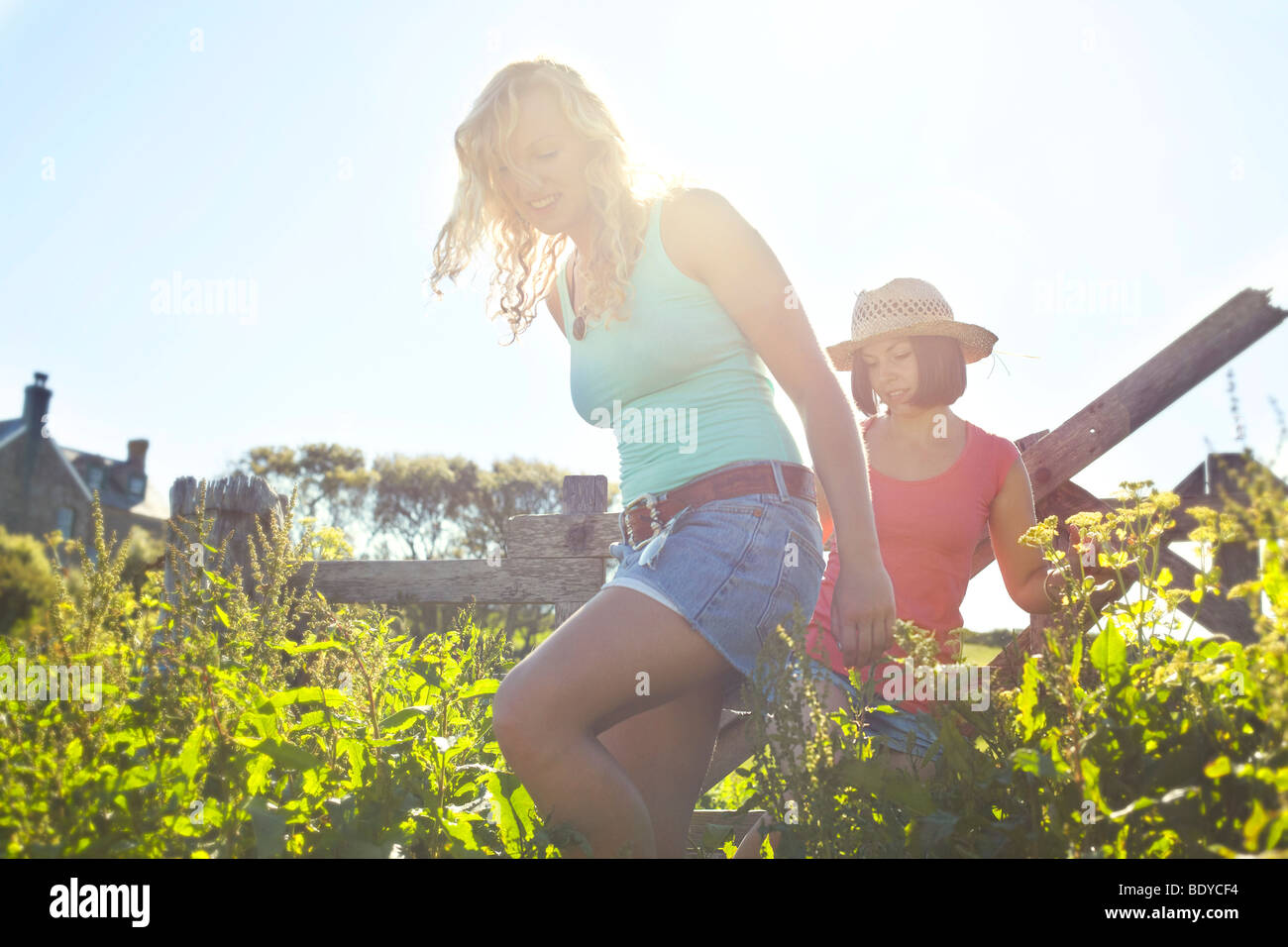 zwei Mädchen, die zu Fuß in ein Feld Stockfoto