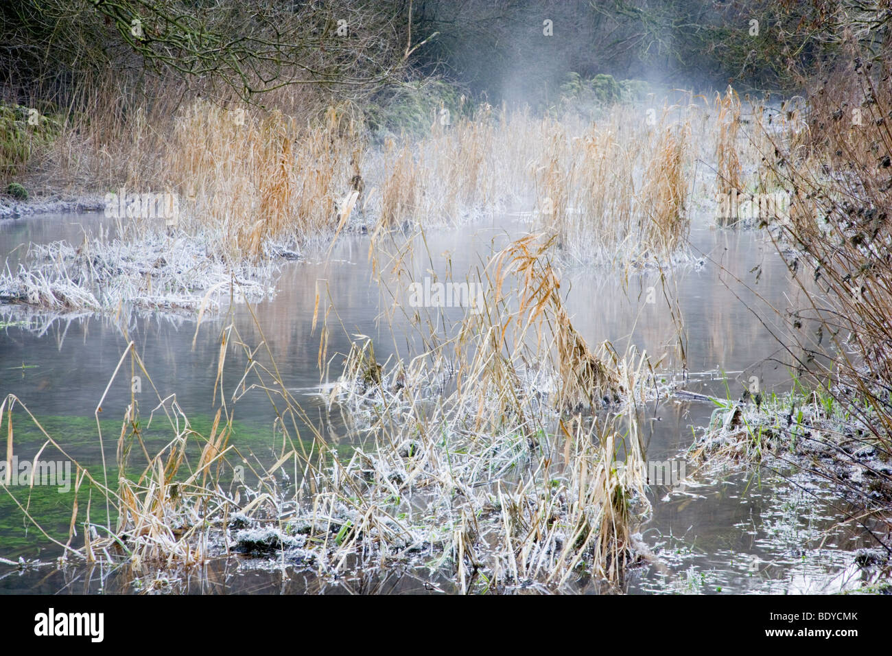 Nebel steigt aus den Fluß Lathkill an einem kalten Wintern Morgen am Lathkill Dale in Derbyshire Stockfoto