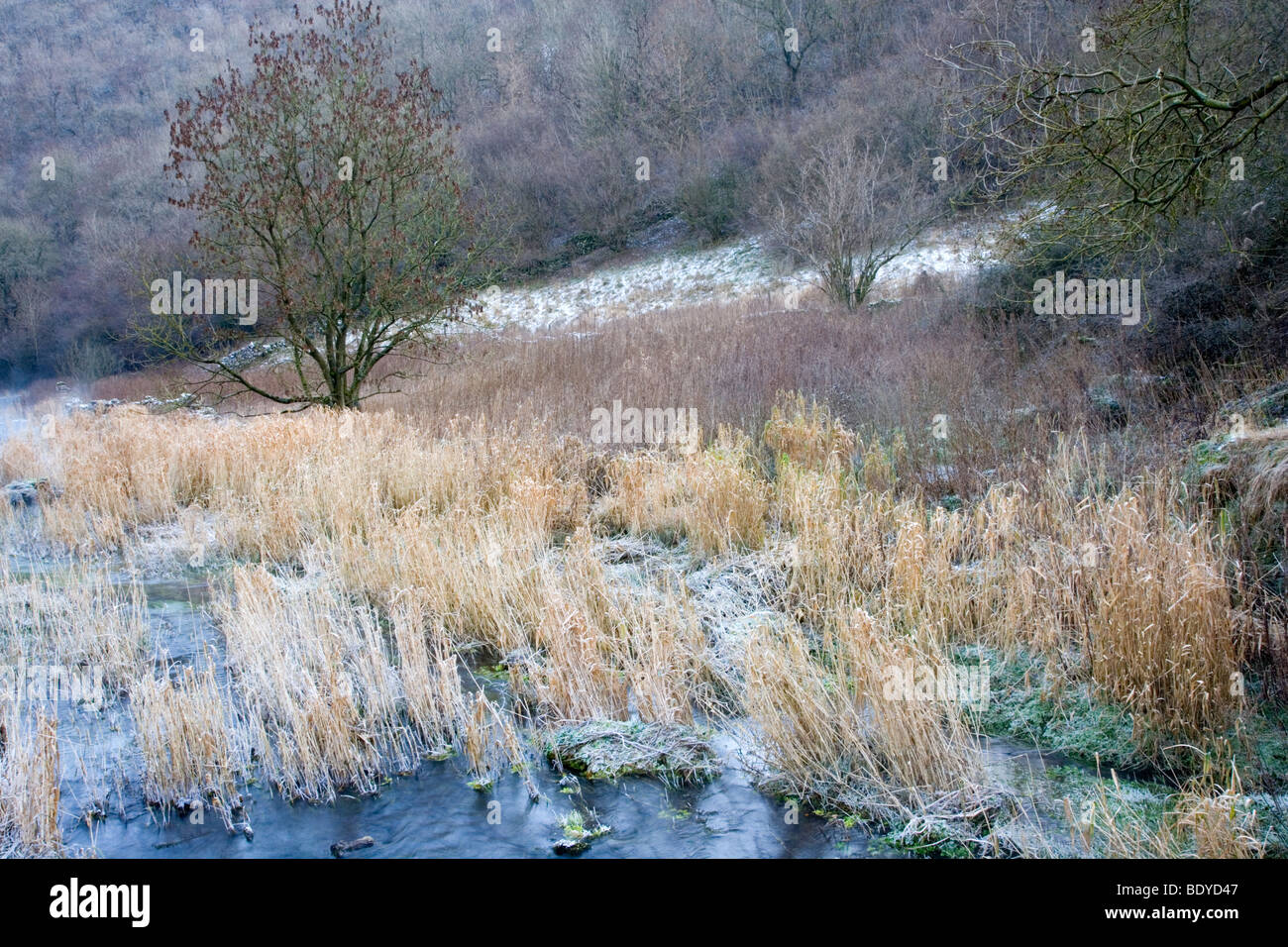 Der Fluß Lathkill bei Lathkill Dale in Derbyshire an einem kalten frostigen Winter Morgen Stockfoto