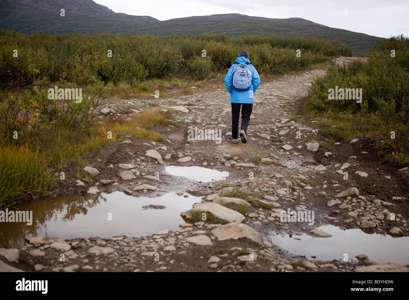 Eine Frau Wanderungen entlang der Wahrzeichen Gap Trail in Alaska Stockfoto