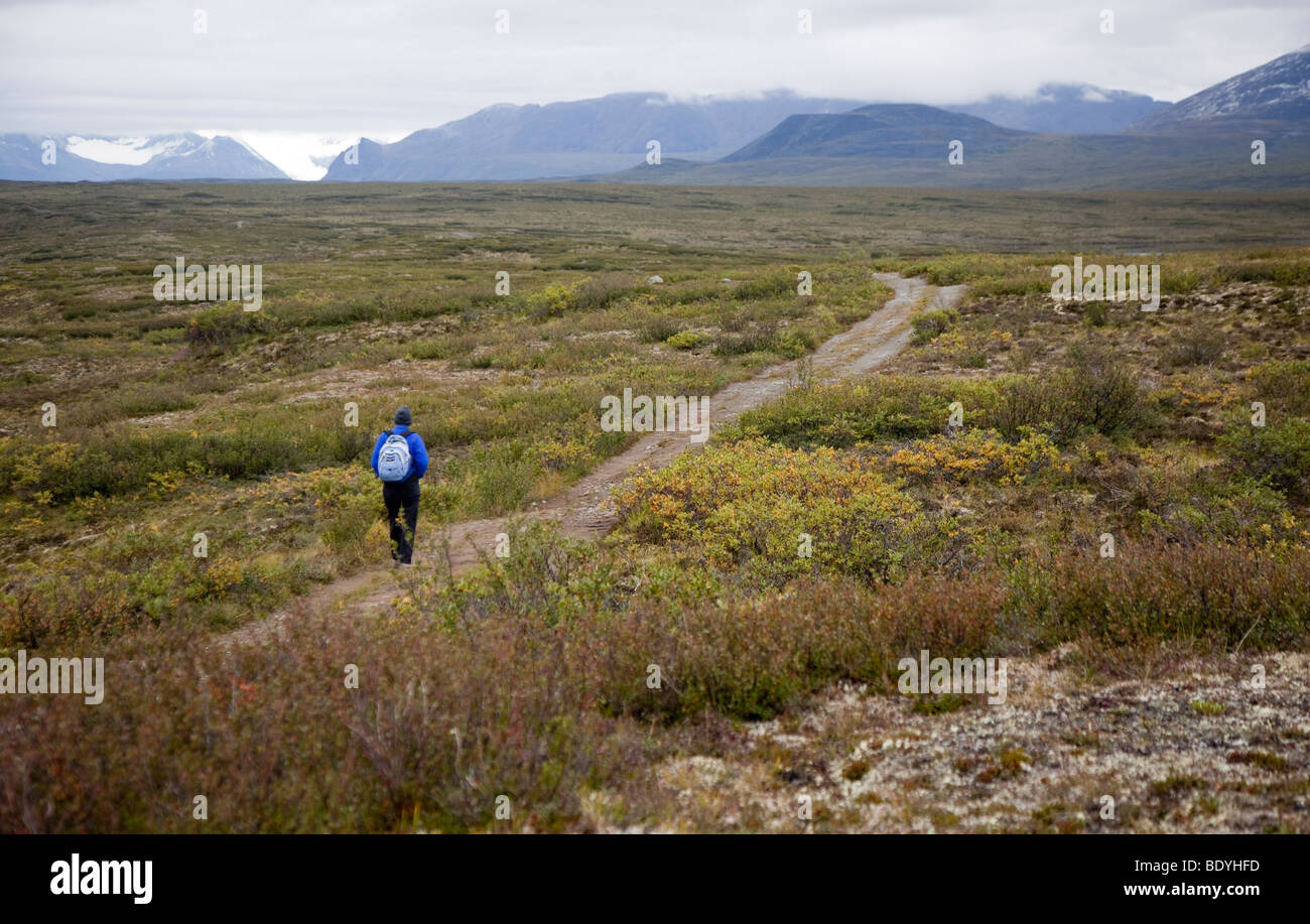 Eine Frau Wanderungen durch die alpine Tundra auf Maclaren-Gipfel-Tour in Alaska Stockfoto