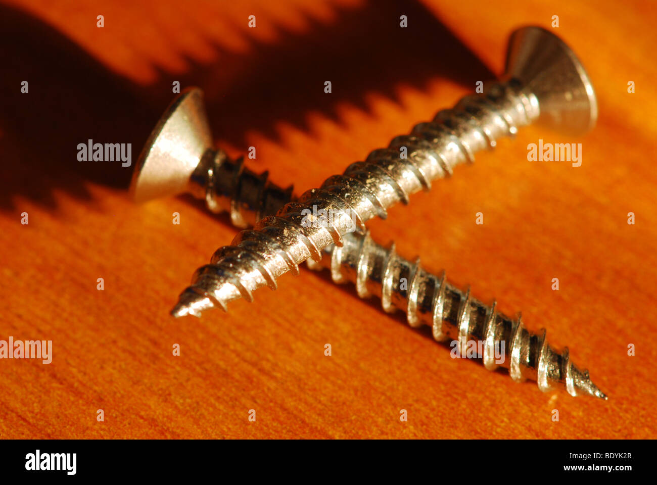 Schrauben für Holz Stockfoto