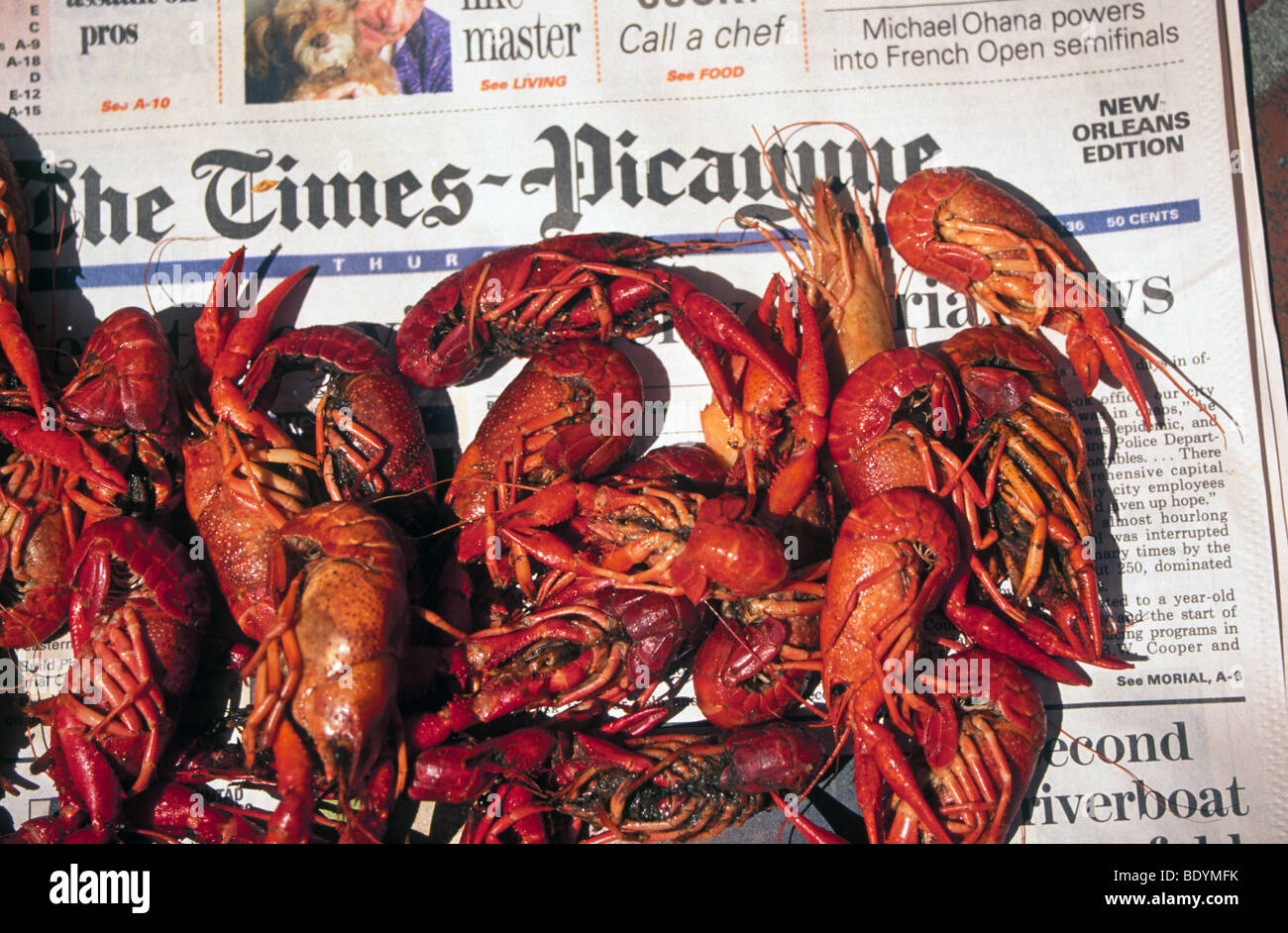 Fresh New Orleans Krebse Crawdads zum Verkauf in einem lokalen Fischmarkt im French Quarter in New Orleans, Louisiana Stockfoto