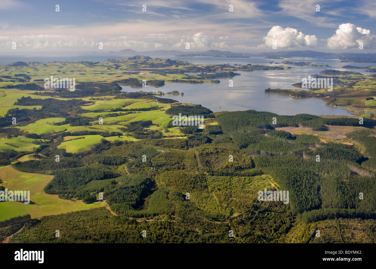 Forstwirtschaft in der Bay of Islands in Neuseeland. Stockfoto