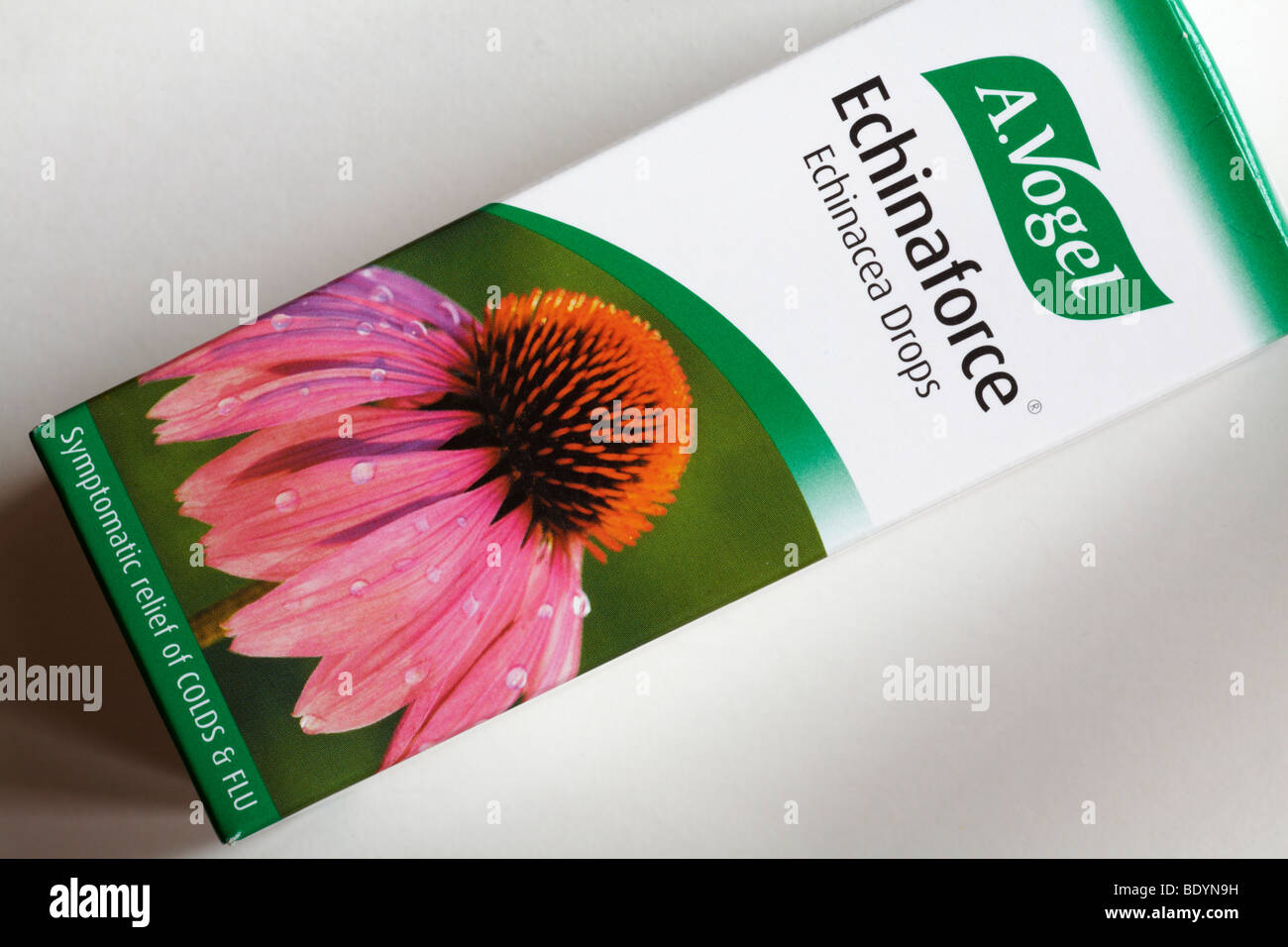 Box Echinaforce Echinacea Tropfen für symptomatische Linderung von Erkältungen und Grippe aus Einem Vogel Set auf weißem Hintergrund Stockfoto