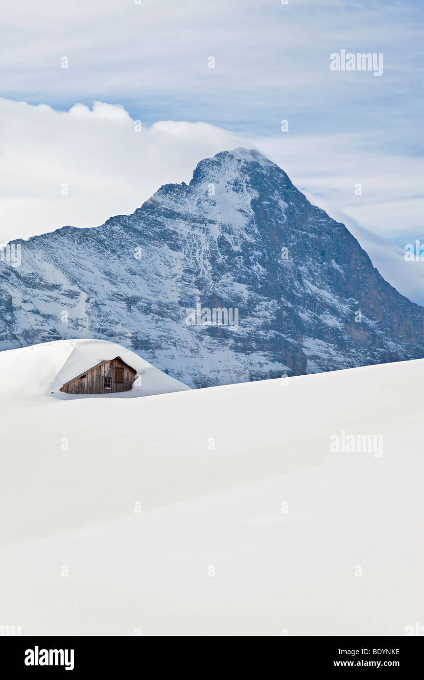 Nordwand des Eiger, Grindelwald, Jungfrau Region, Berner Oberland, Schweizer Alpen, Schweiz Stockfoto