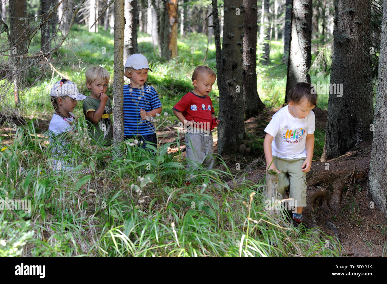 Kinder in der Natur Stockfoto