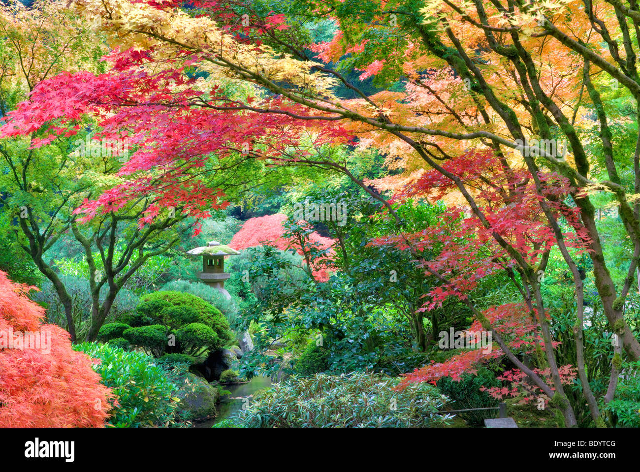 Skulptur und Farbe bei Portland Japanese Garden fallen. Oregon Stockfoto