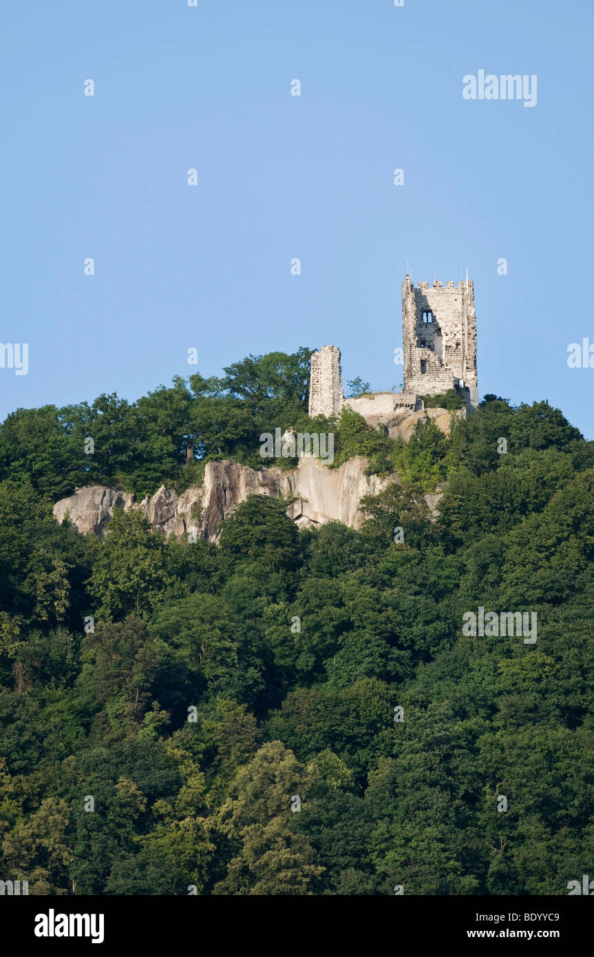 Drachenfels, Dragon es Rock, Ruine der Burg Drachenfels am Rhein, Königswinter, Nordrhein-Westfalen, Deutschland, Europa Stockfoto