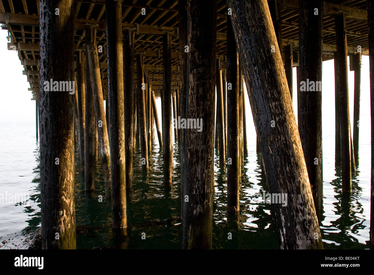 Pfähle, die Unterstützung von Avila Beach Pier Stockfoto