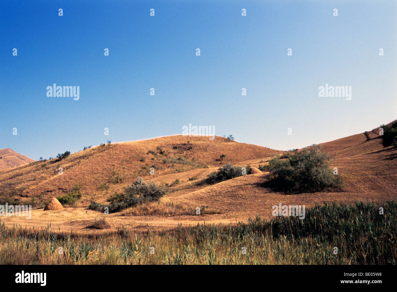 Landschaft mit Hügeln und Bäumen im Sommer Stockfoto