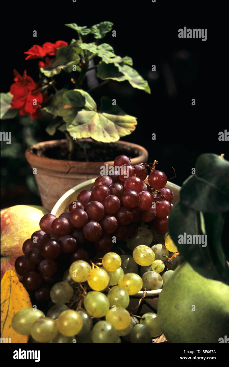 Nahaufnahme mit Obst, Trauben, Birne, Apfel und roten Blume in vase Stockfoto