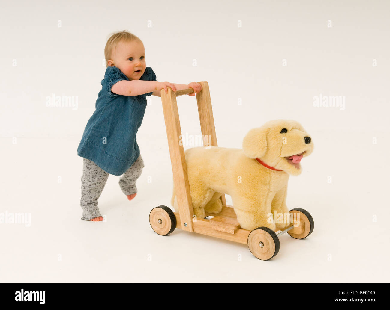 Babymadchen Kleinkind 14 Monate Alt Mit Einem Push Entlang Hund In Einem Studio Spielen Stockfotografie Alamy